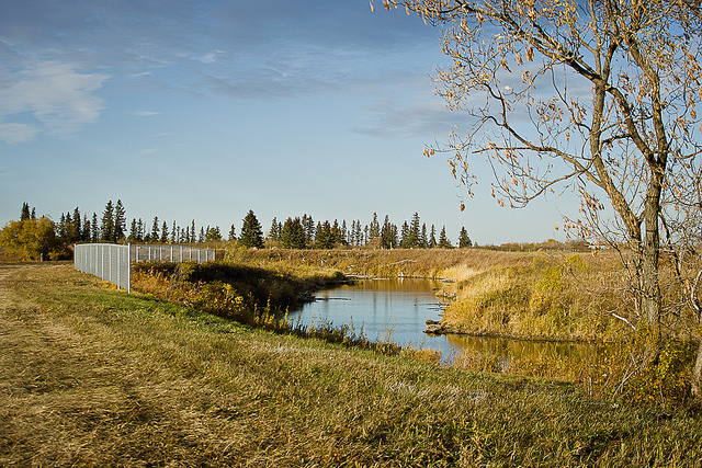 Dog Off Leash Area dog park in Minburn County No. 27, Alberta