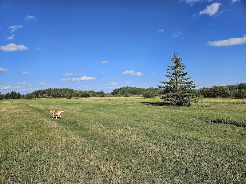K9 Off-Leash Dog Park dog park in Leduc, Alberta