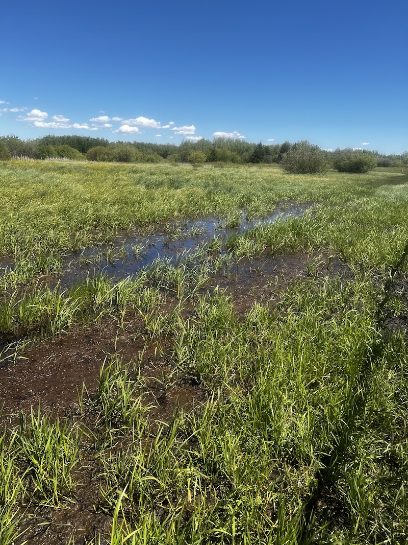 K9 Off-Leash Dog Park dog park in Leduc, Alberta