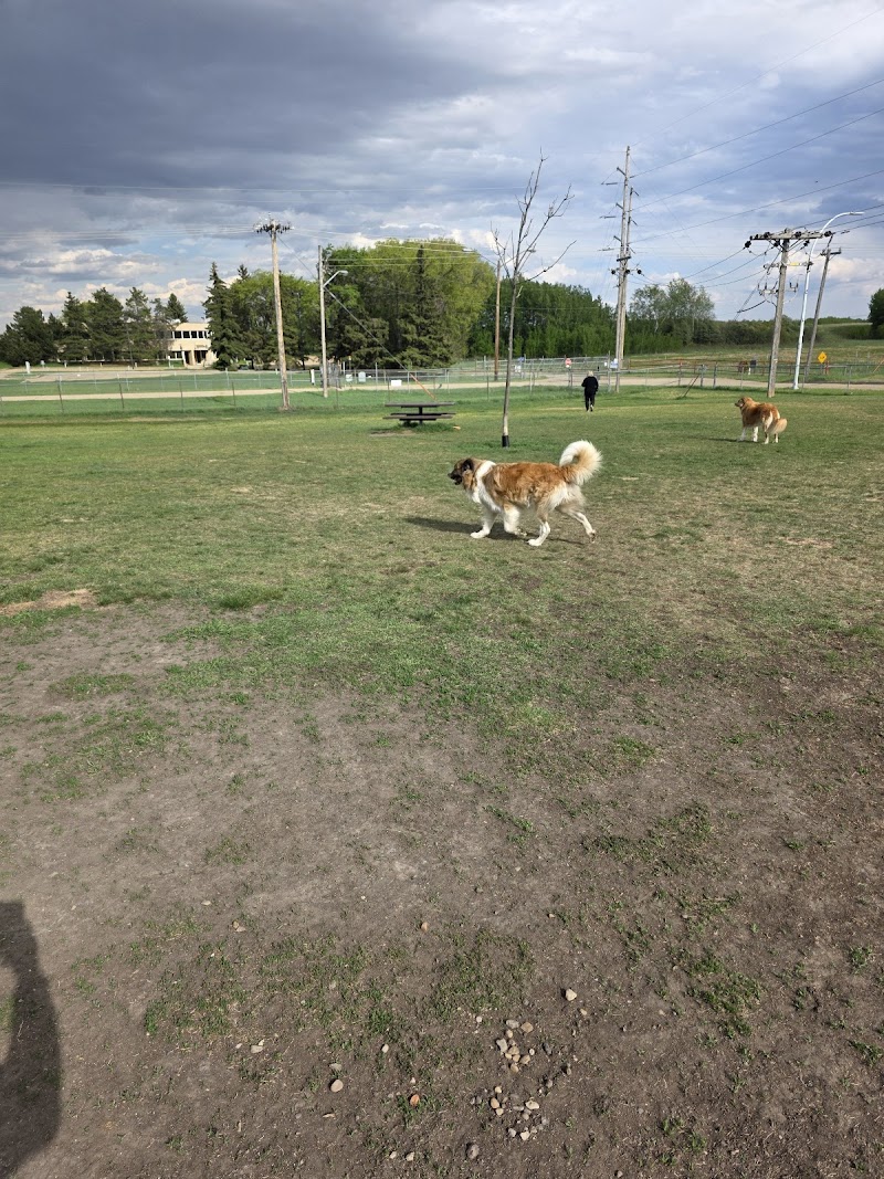 Devon Dog Park dog park in Devon, Alberta