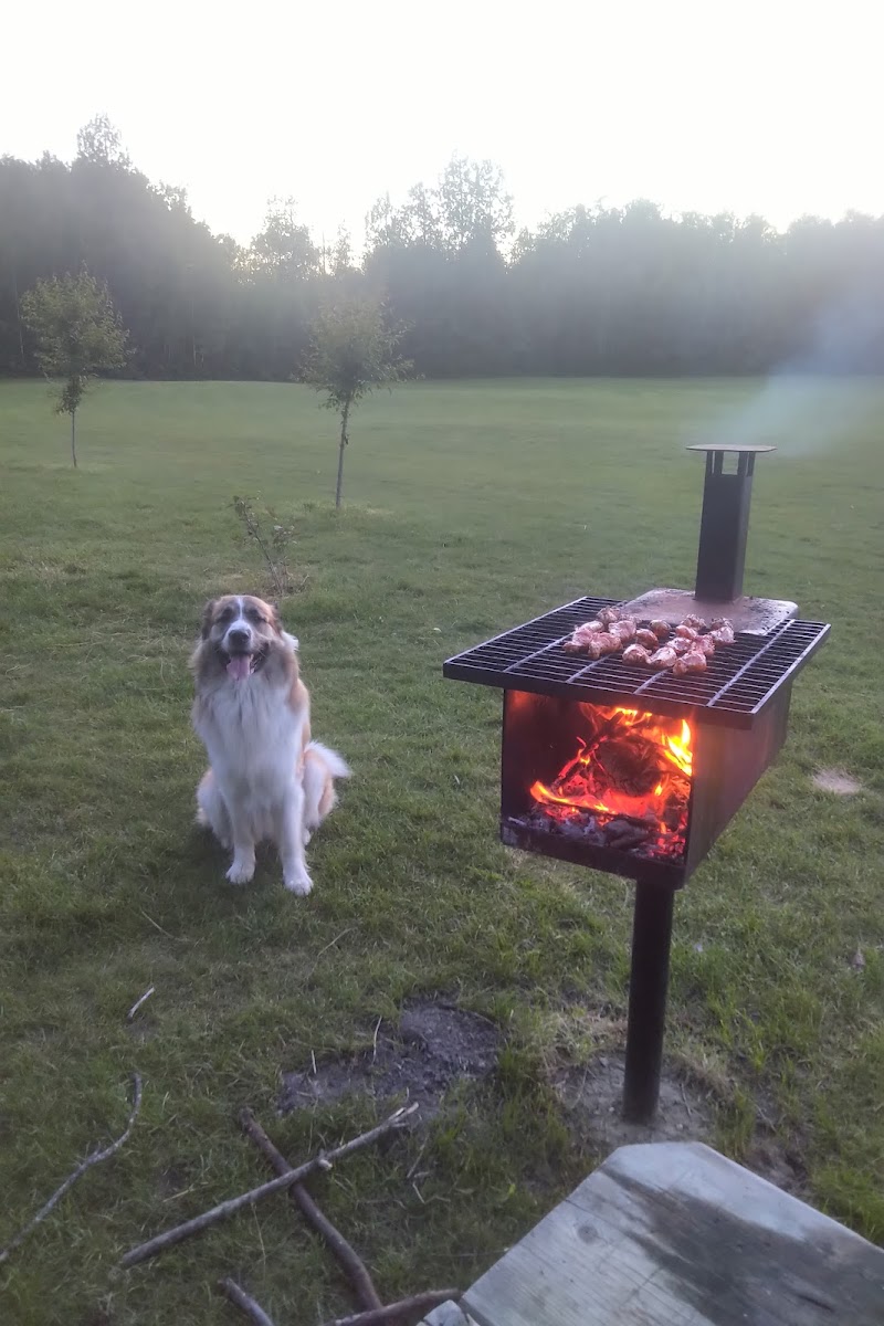 Devon Dog Park dog park in Devon, Alberta