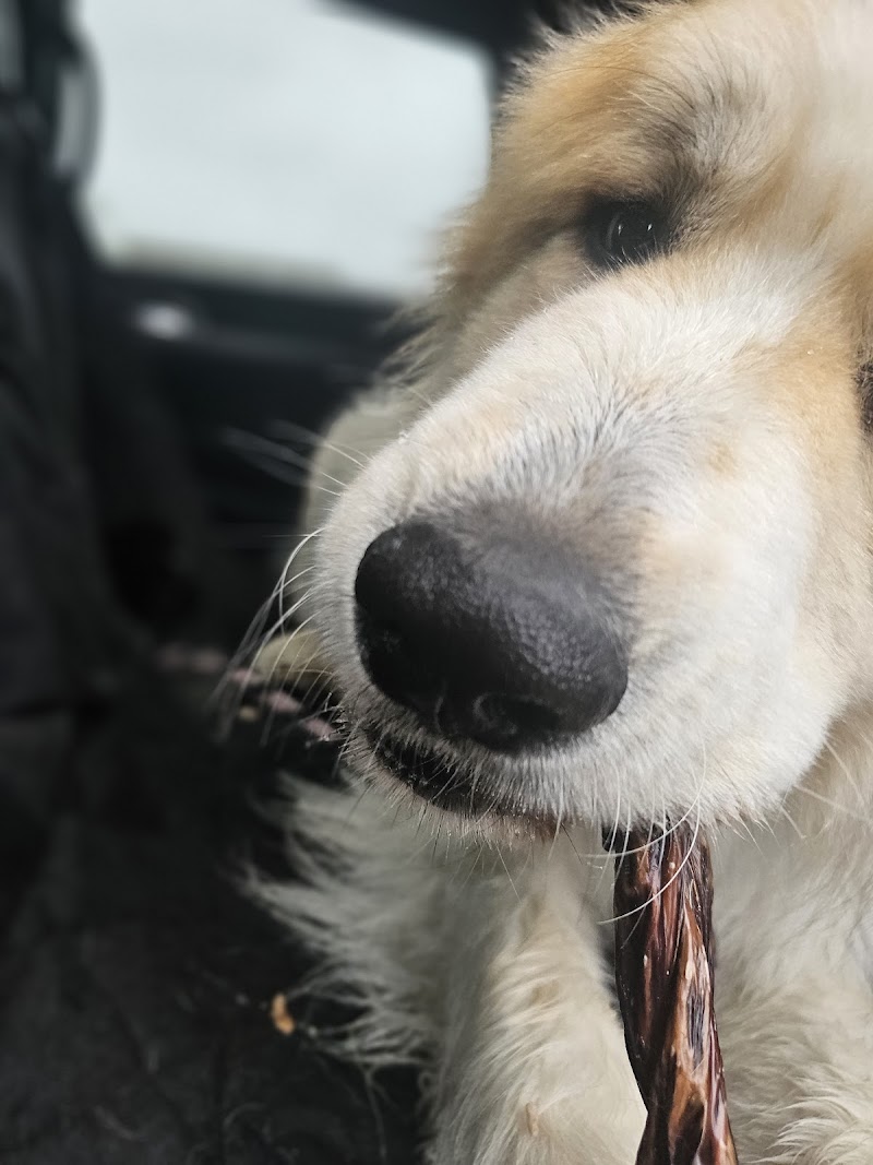 Devon Dog Park dog park in Devon, Alberta