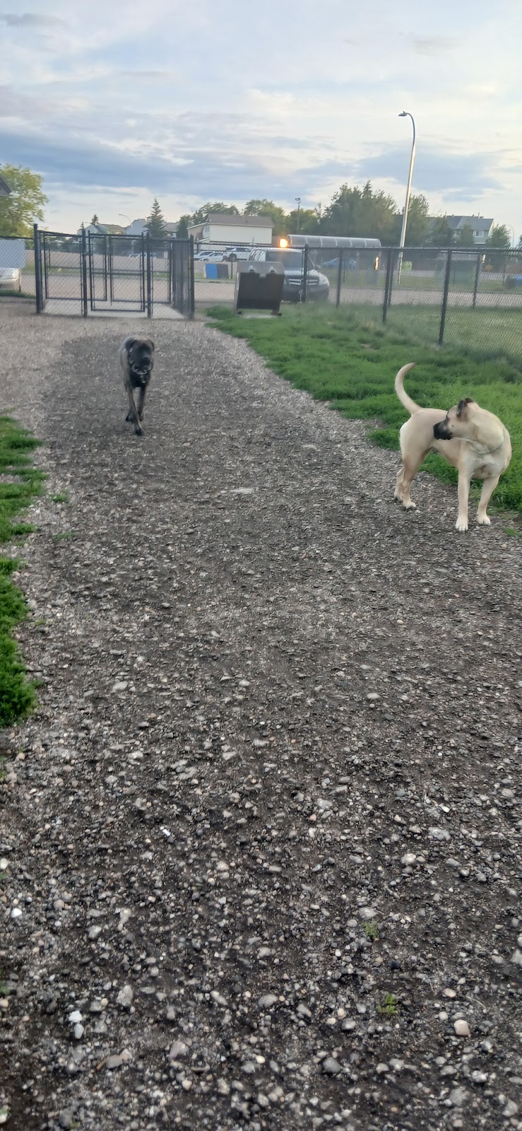 Thickwood Dog Park dog park in Fort McMurray, Alberta