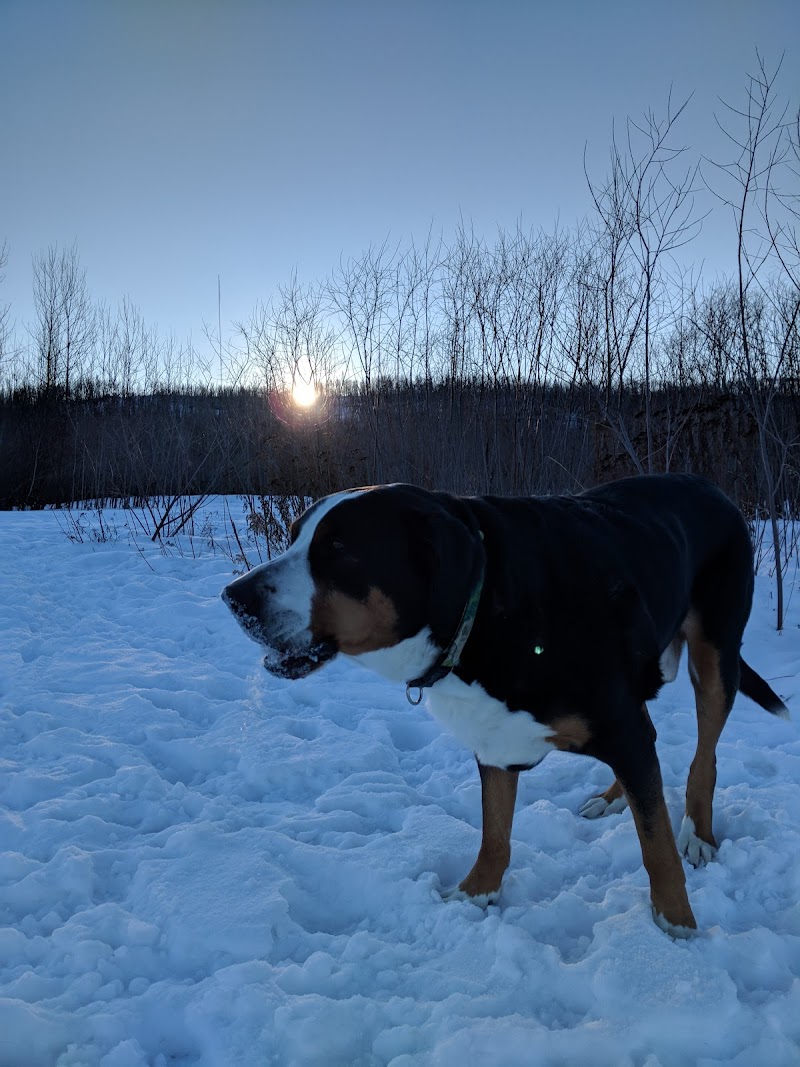 Sara Holden Dog Park dog park in Fort McMurray, Alberta