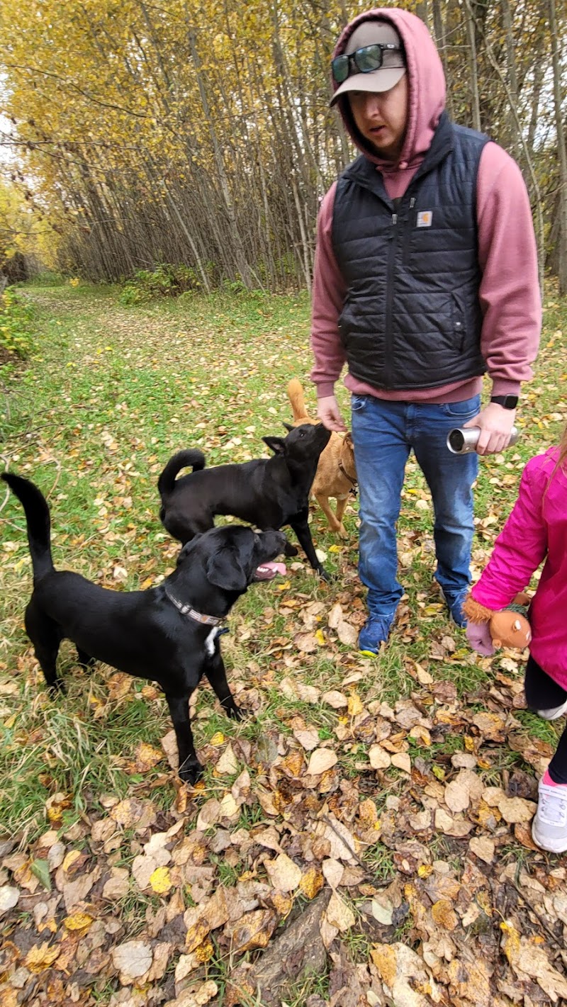 Sara Holden Dog Park dog park in Fort McMurray, Alberta