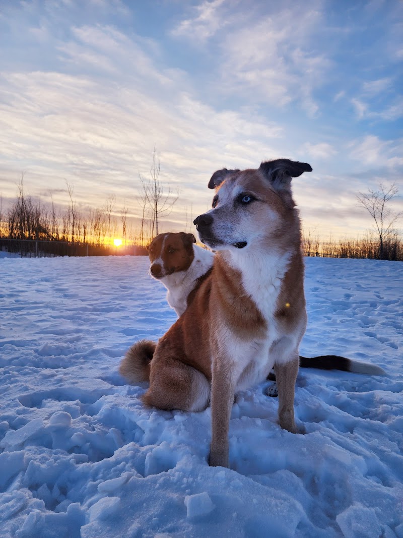 Beacon Hill Dog Park dog park in Fort McMurray, Alberta