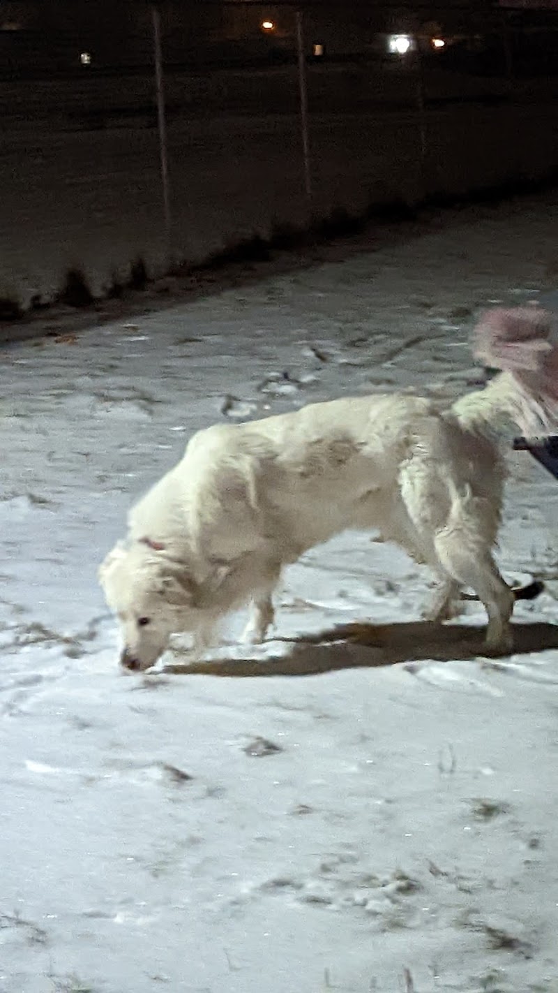 Gregoire Dog Park dog park in Fort McMurray, Alberta