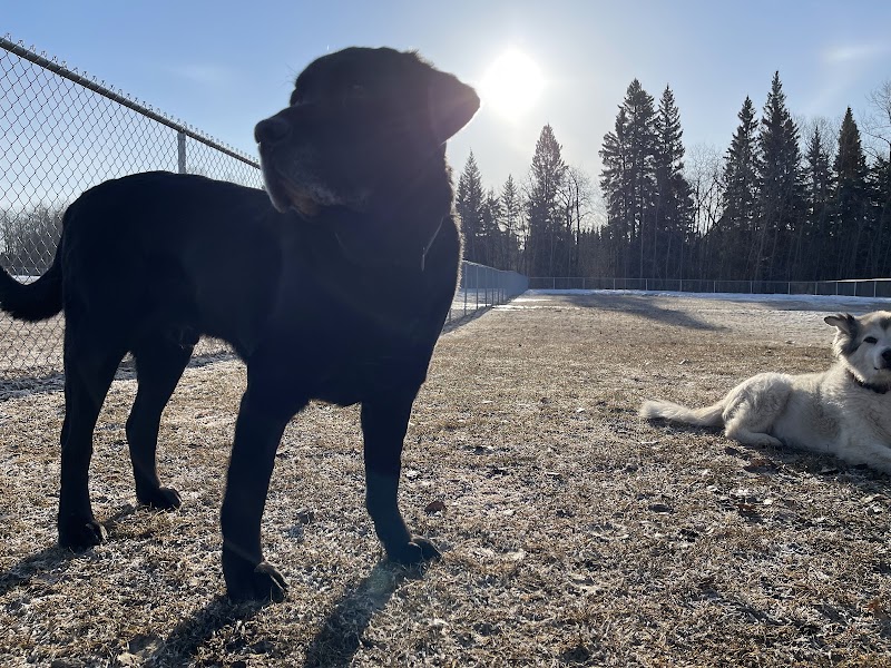 Offleash Dog Park dog park in Cold Lake, Alberta
