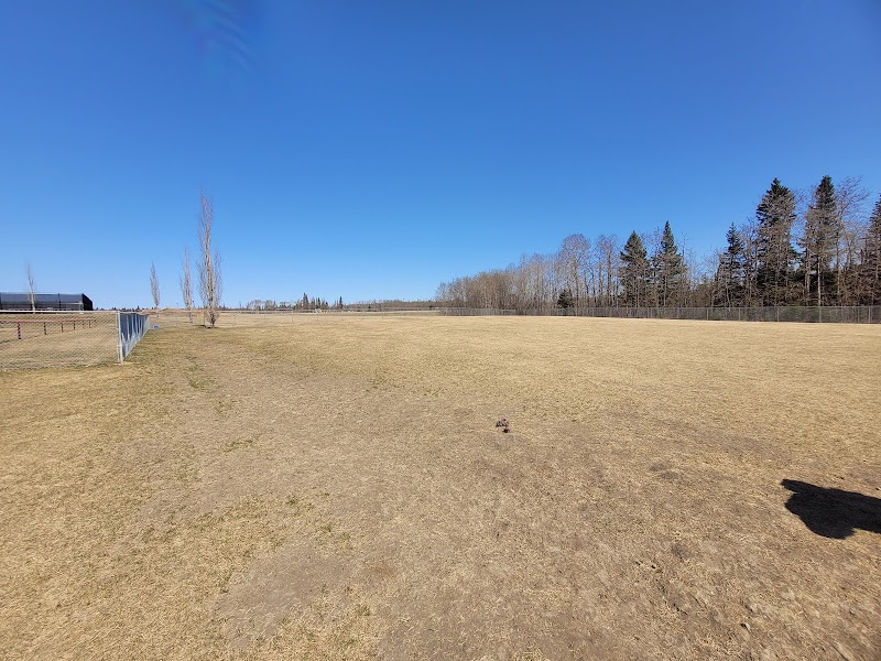 Offleash Dog Park dog park in Cold Lake, Alberta