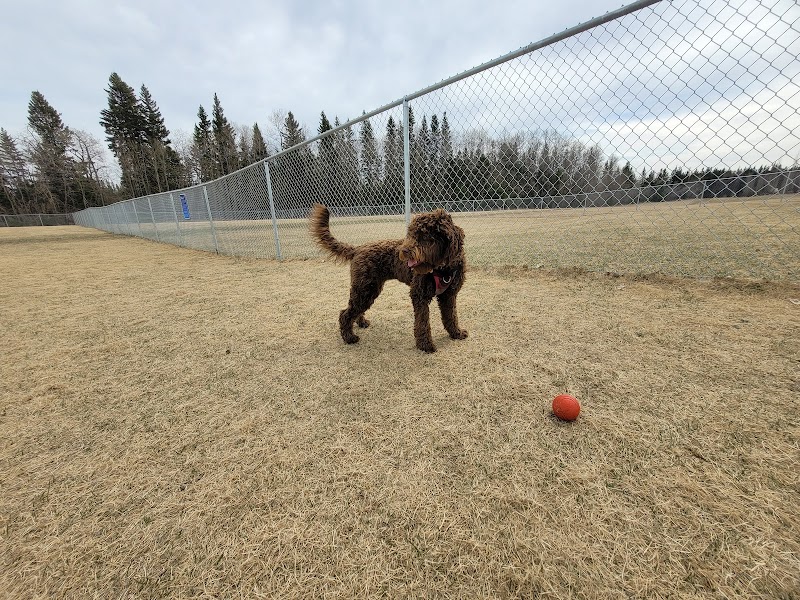 Offleash Dog Park dog park in Cold Lake, Alberta