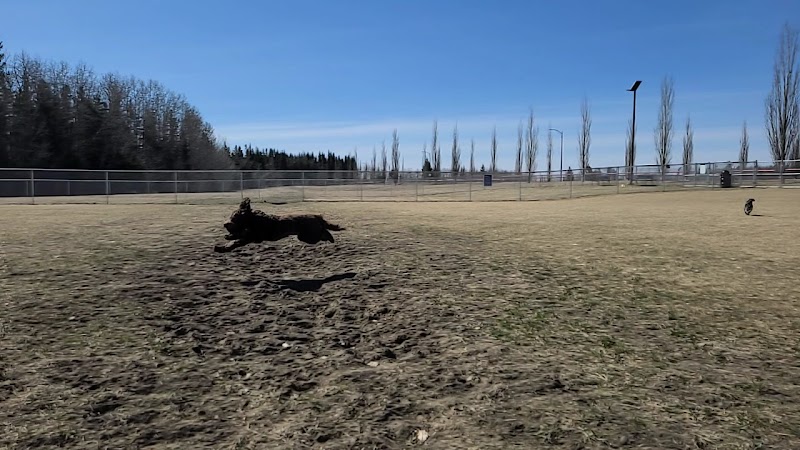 Offleash Dog Park dog park in Cold Lake, Alberta