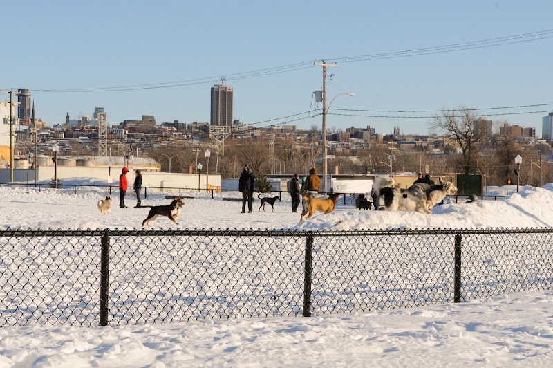 Dog Park Pointe-aux-Lievres dog park in Québec City, Quebec