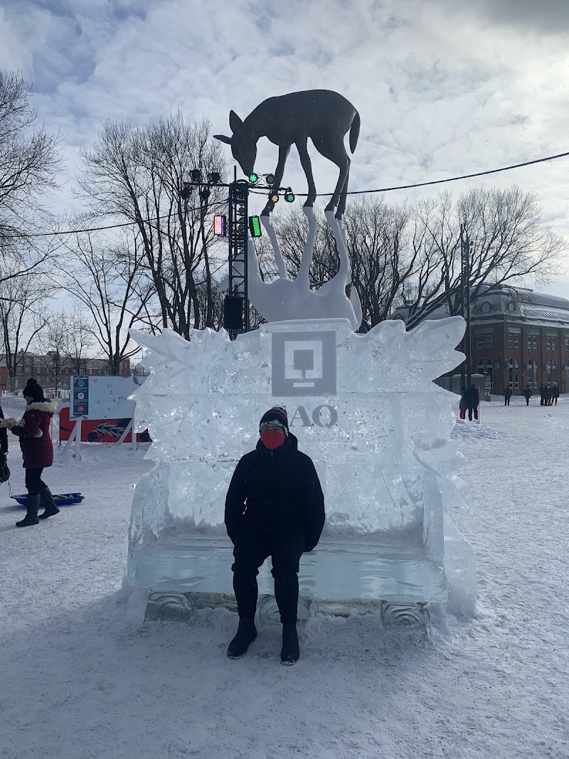 Parc pour chiens dog park in Québec City, Quebec
