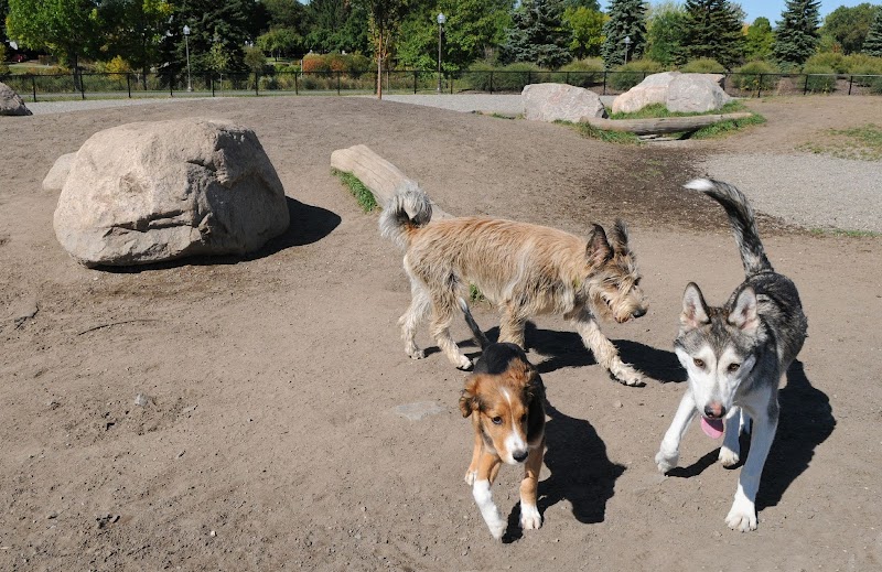 Parc pour chiens dog park in Québec City, Quebec