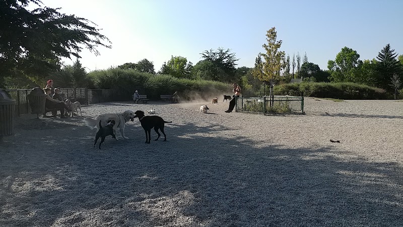 Parc pour chiens dog park in Québec City, Quebec
