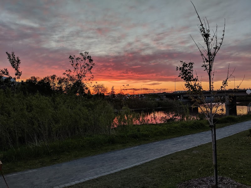 Parc pour chiens dog park in Québec City, Quebec