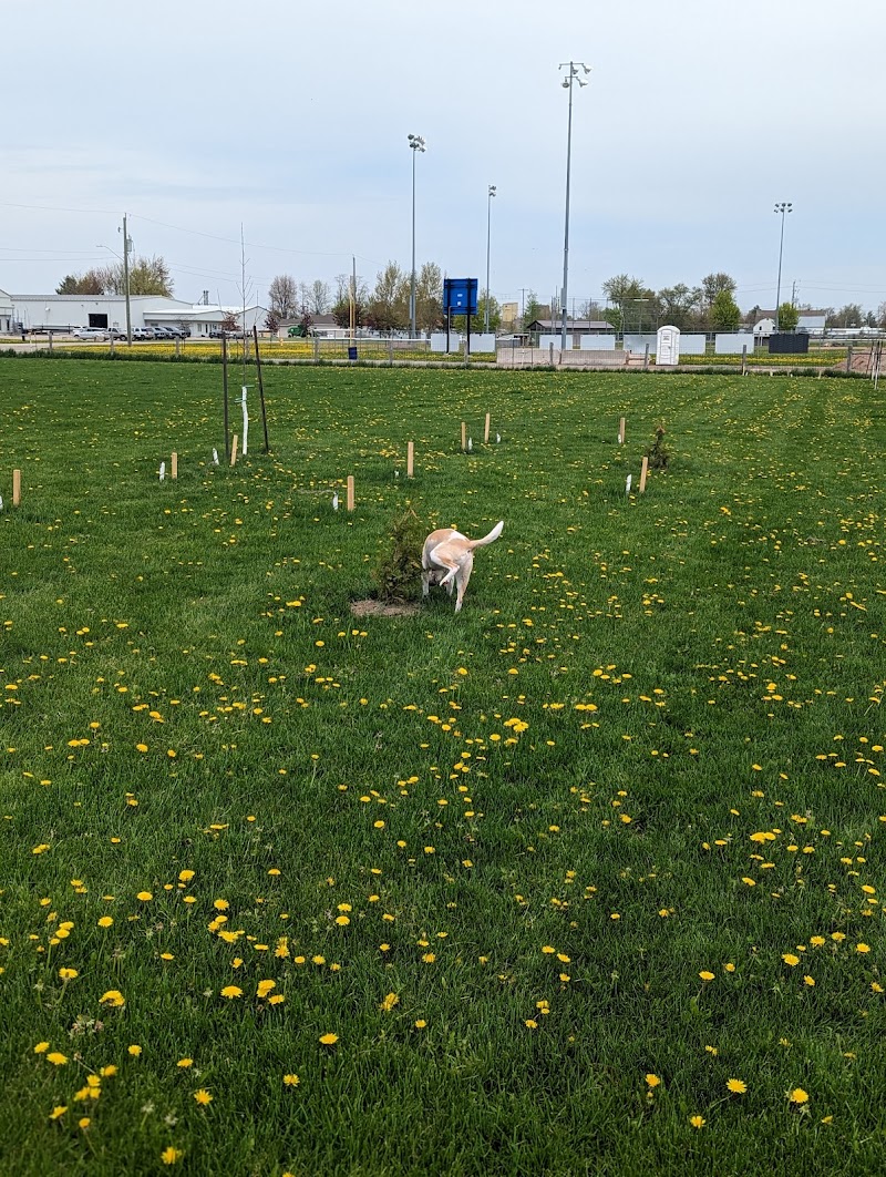 Mitchell Leash Free Dog Park dog park in Mitchell, Ontario
