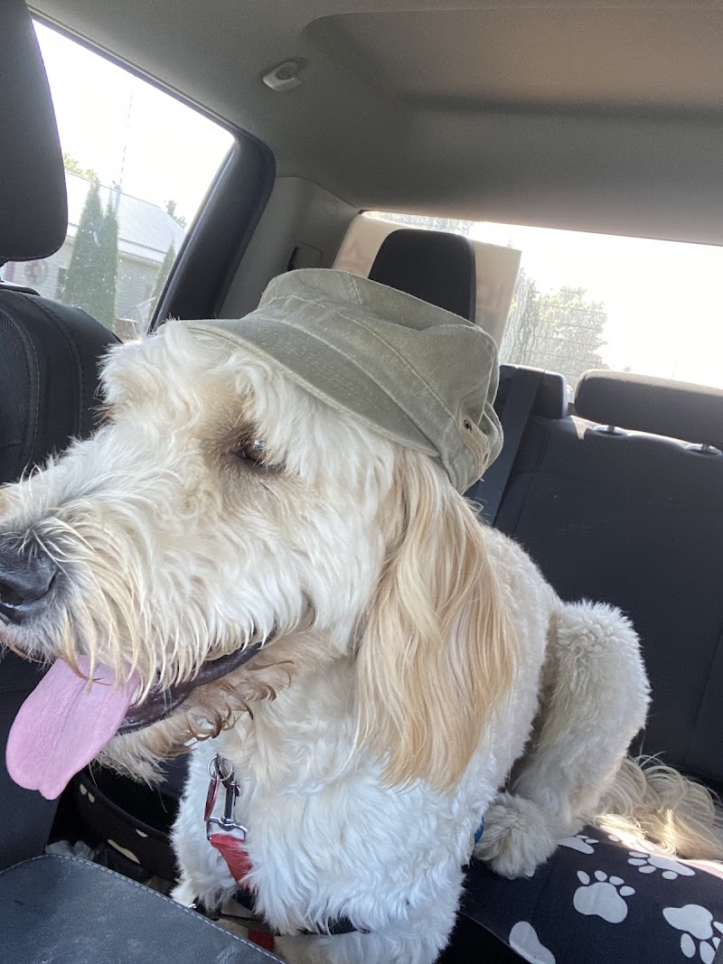 Mitchell Leash Free Dog Park dog park in Mitchell, Ontario