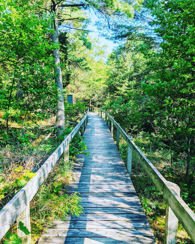 Pinery Dog Beach/Day Use Area 2 dog park in Grand Bend, Ontario