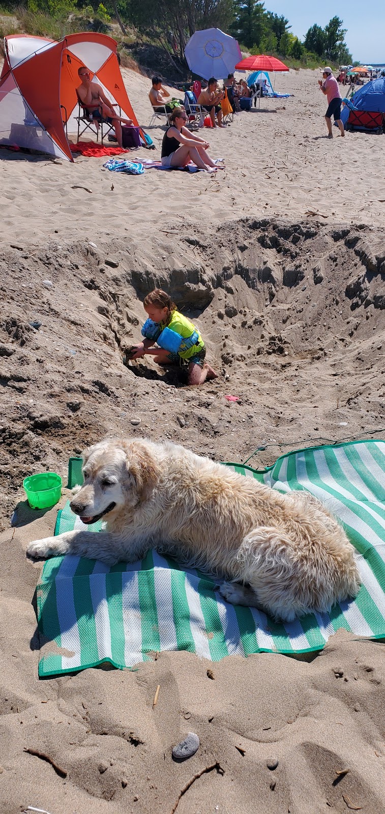 Pinery Dog Beach/Day Use Area 2 dog park in Grand Bend, Ontario