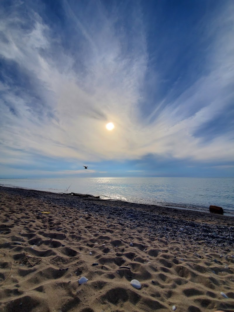 Pinery Dog Beach/Day Use Area 2 dog park in Grand Bend, Ontario