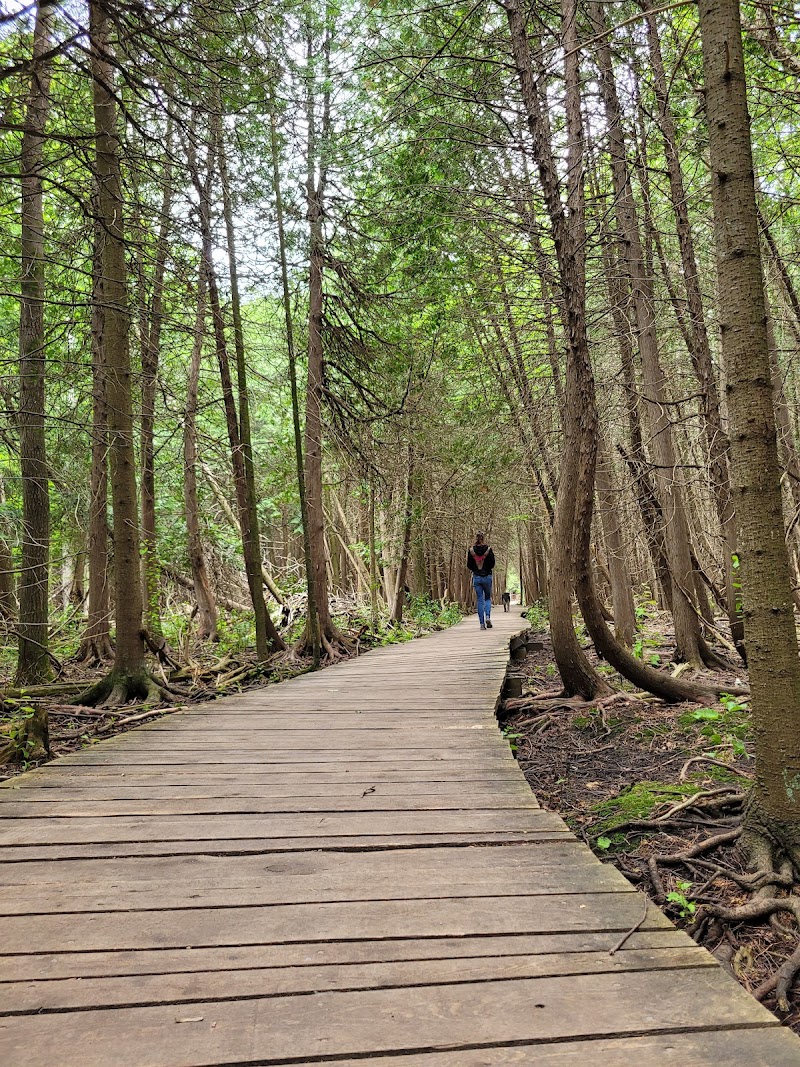 Off-Leash Dog Park dog park in Guelph, Ontario