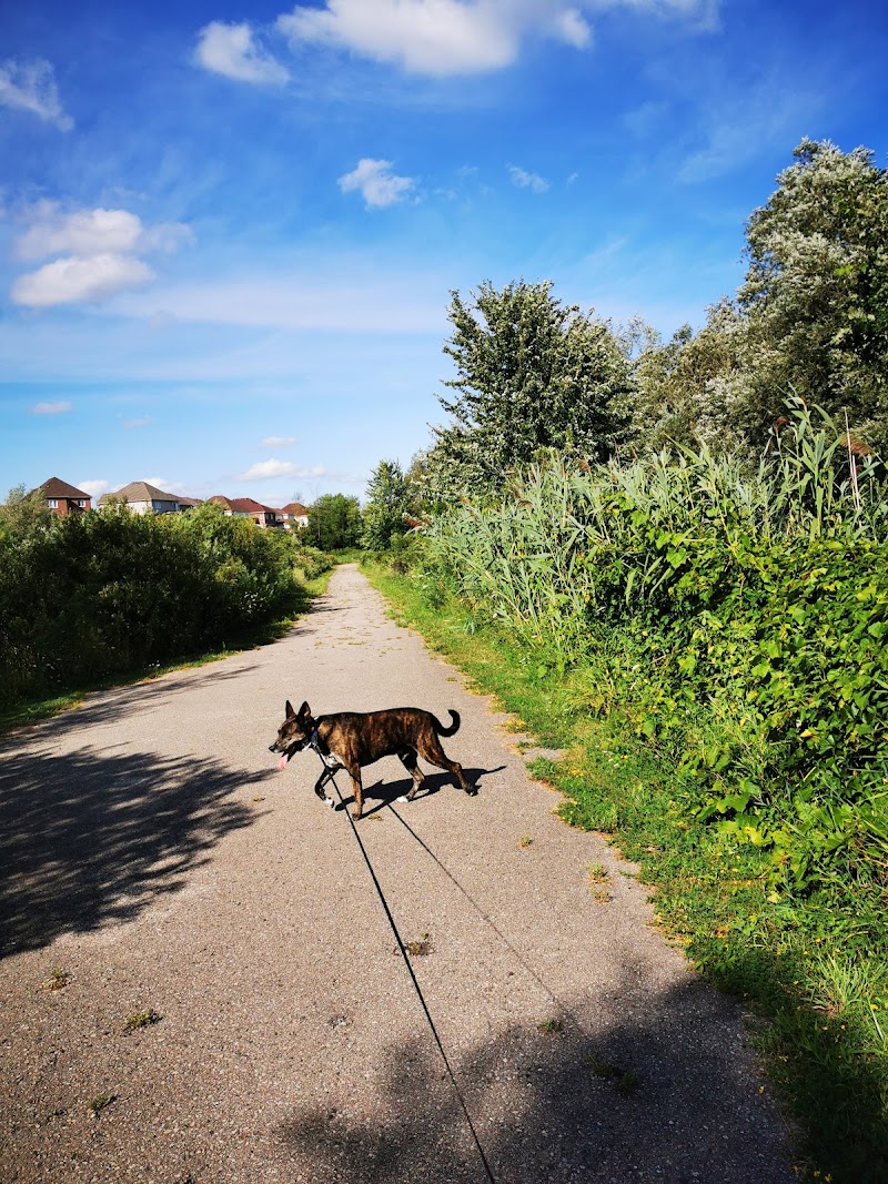 Off-Leash Dog Park dog park in Guelph, Ontario