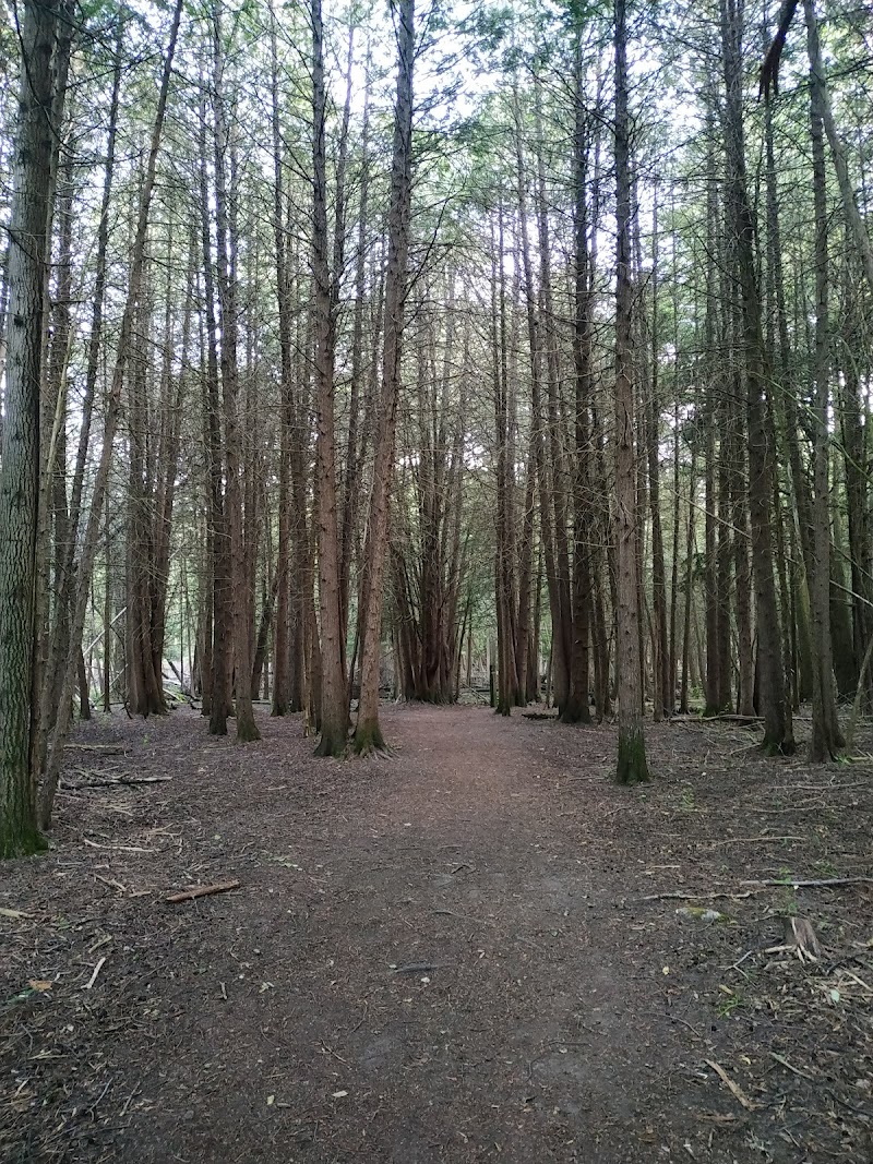 Off-Leash Dog Park dog park in Guelph, Ontario