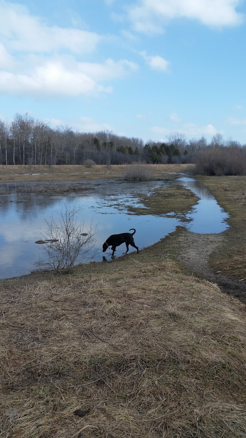 Off-Leash Dog Park dog park in Guelph, Ontario