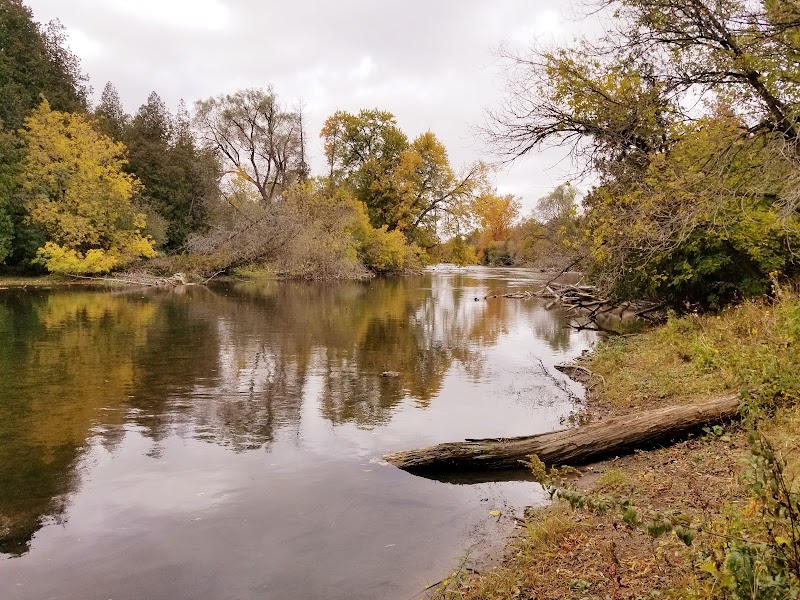 Crane Park dog park in Guelph, Ontario