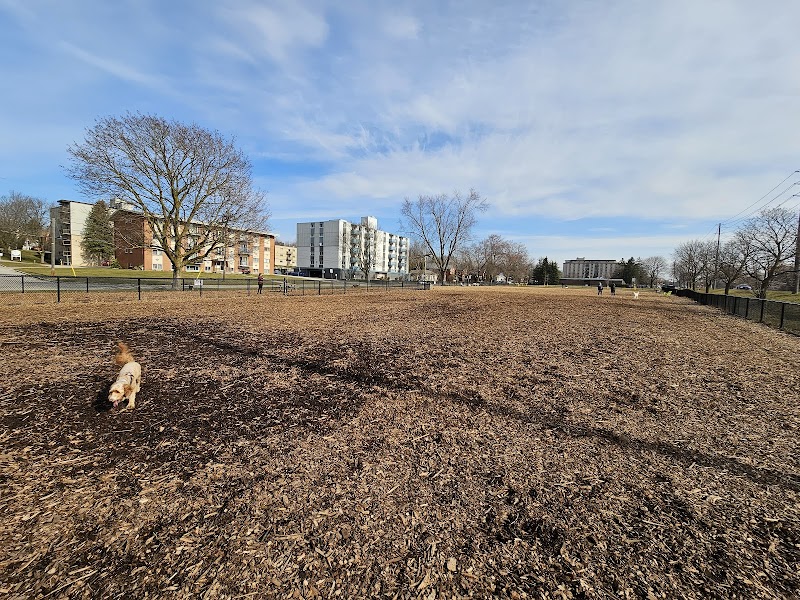 Bristol Street Dog Park dog park in Guelph, Ontario