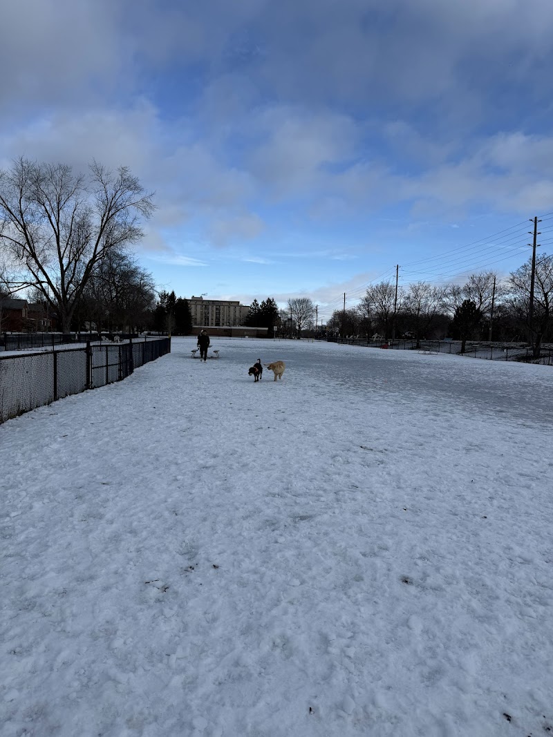Bristol Street Dog Park dog park in Guelph, Ontario