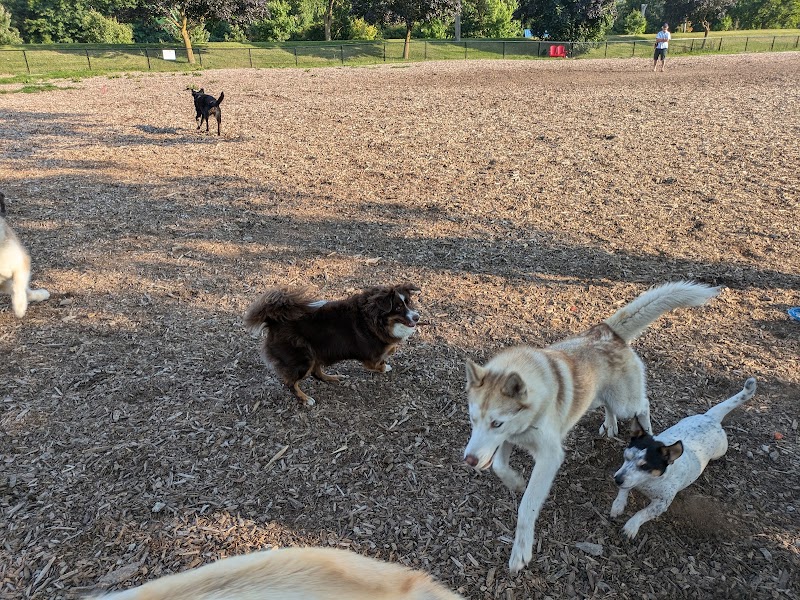 Bristol Street Dog Park dog park in Guelph, Ontario