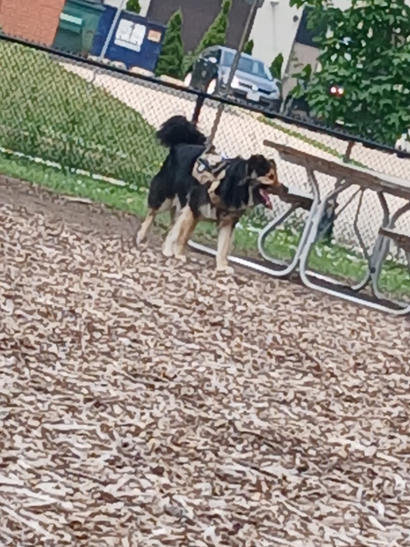 Bristol Street Dog Park dog park in Guelph, Ontario