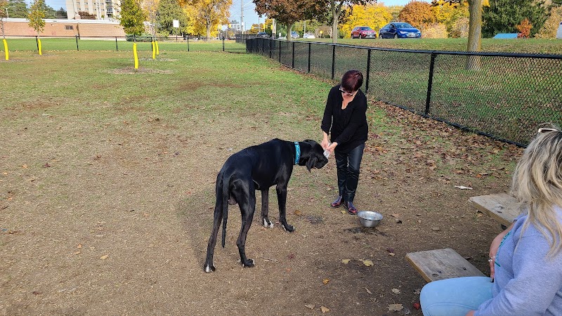 Bristol Street Dog Park dog park in Guelph, Ontario