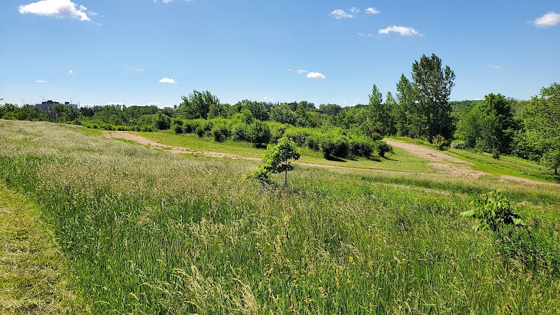 Bechtel Dog Park dog park in Kitchener, Ontario