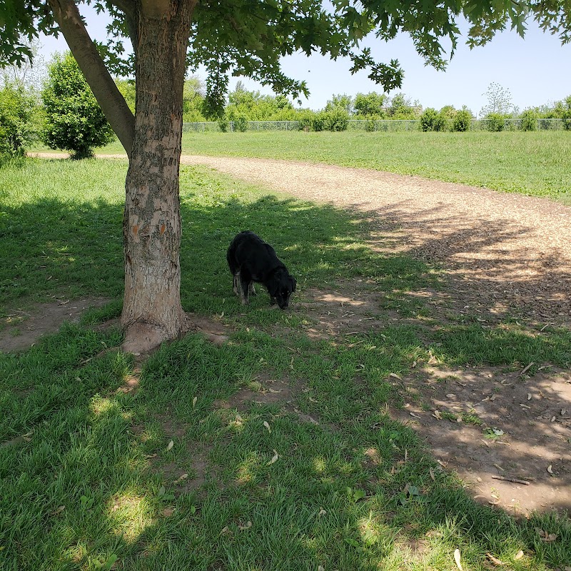 Bechtel Dog Park dog park in Kitchener, Ontario