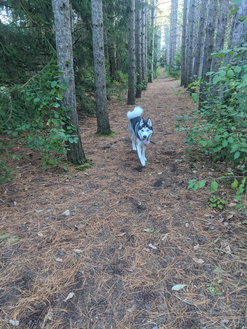 Kiwanis Dog Park dog park in Kitchener, Ontario
