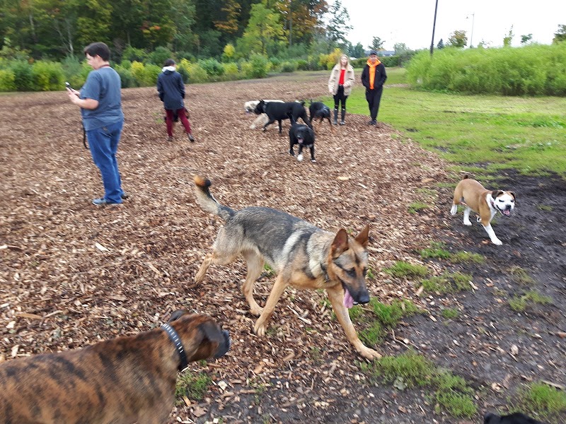 McLennan Park Gated Dog Park dog park in Kitchener, Ontario