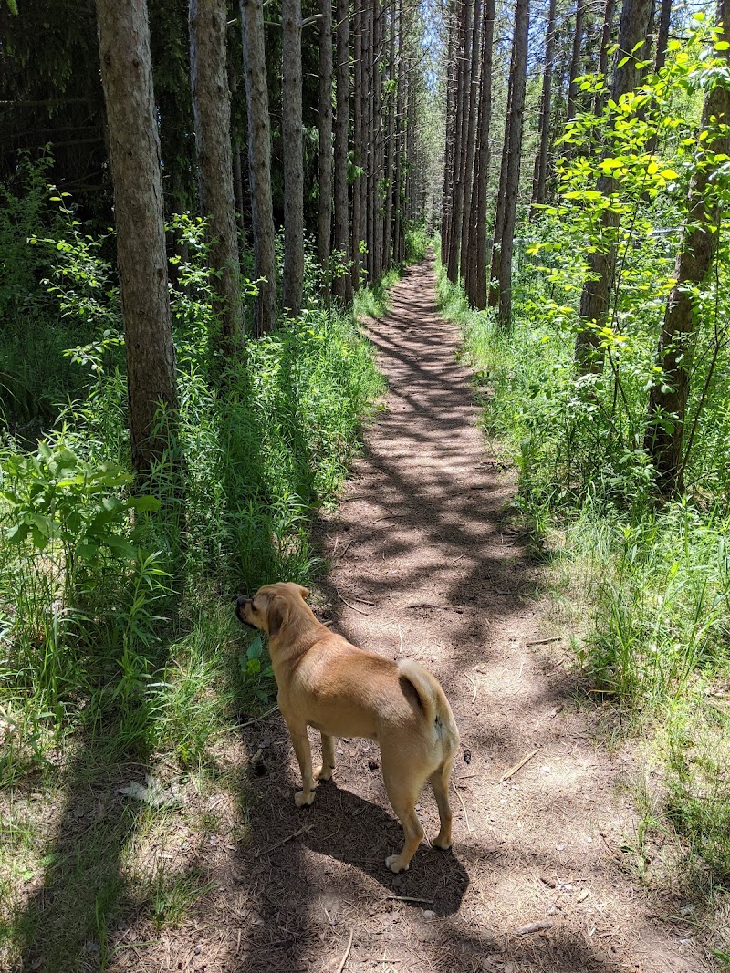 Kiwanis Park dog park in Kitchener, Ontario
