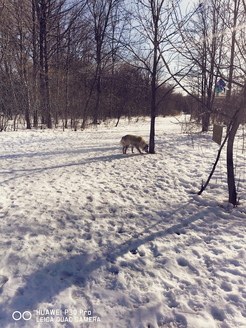 St. Jacobs Off Leash Dog Park dog park in St. Jacobs, Ontario