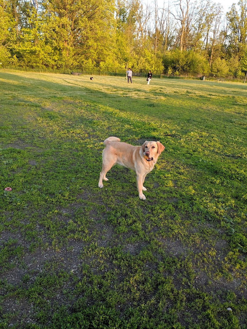 Cedar Hedge Park dog park in Milton, Ontario