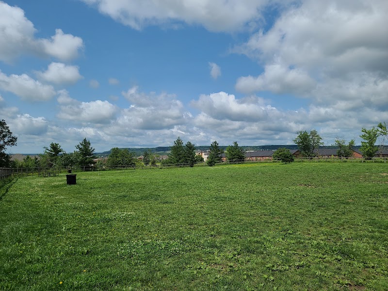 Leash-free Dog Park dog park in Milton, Ontario