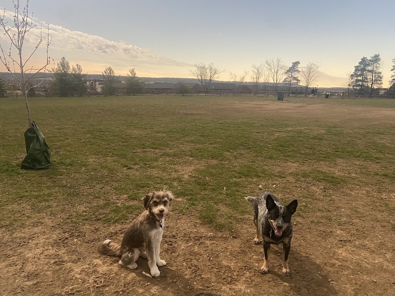 Leash-free Dog Park dog park in Milton, Ontario