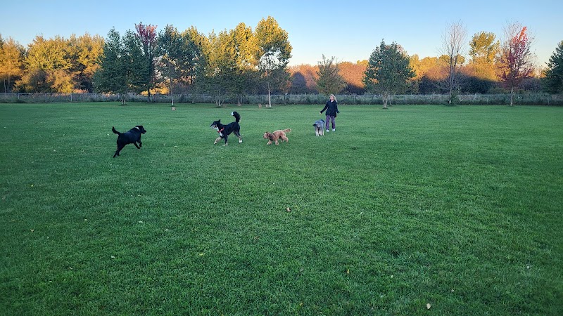 Woolwich Off Leash Dog Park dog park in Elmira, Ontario