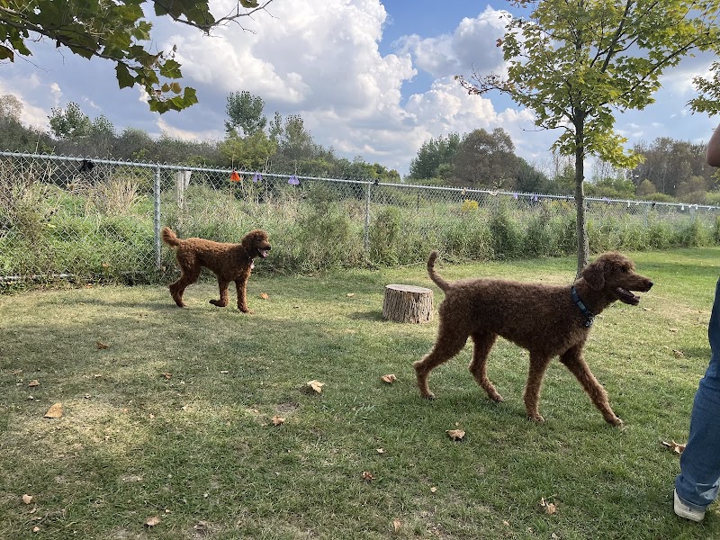 Woolwich Off Leash Dog Park dog park in Elmira, Ontario