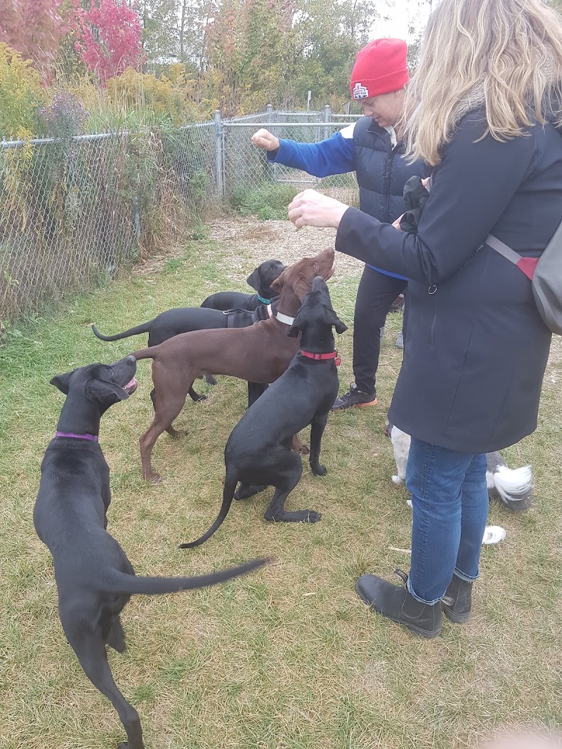 Woolwich Off Leash Dog Park dog park in Elmira, Ontario