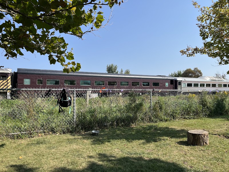 Woolwich Off Leash Dog Park dog park in Elmira, Ontario