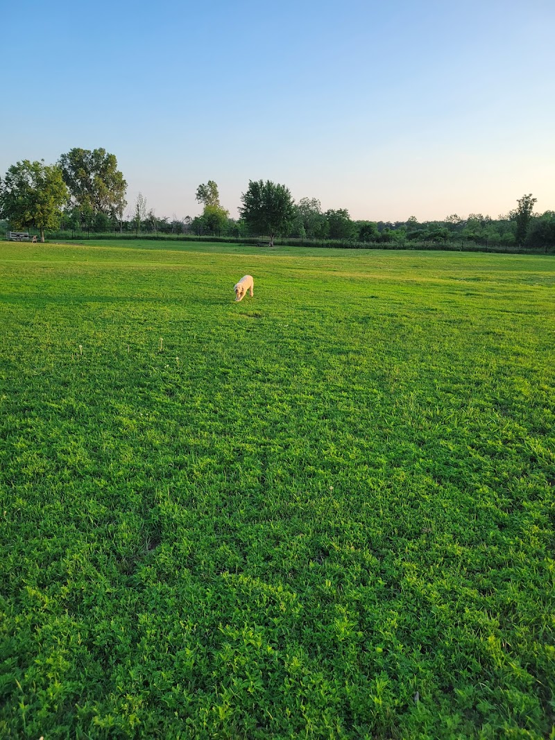 King Road Leash Free Dog Park dog park in Burlington, Ontario