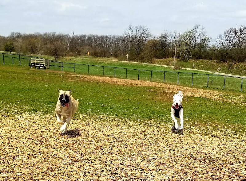 Leash Free Dog Park dog park in Burlington, Ontario